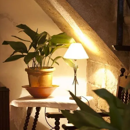 Hotel Xim-turismo De Interior Alaro